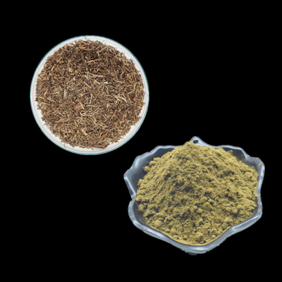 Ajuga Turkestanica Extract हर्बल एक्सट्रेक्ट पाउडर Turkesterone पाउडर सप्लीमेंट्स 2% 10% 20%