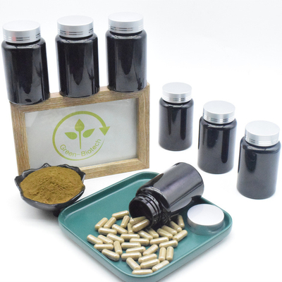 Ajuga Turkestanica Extract 500mg 10% Turkesterone कैप्सूल मांसपेशियों के पूरक के लिए