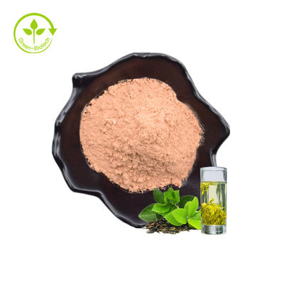 फैक्टरी थोक पौधे की पत्ती स्वस्थ 60% उच्च गुणवत्ता वाली प्राकृतिक हरी चाय की पत्तियां तत्काल पाउडर निकालें