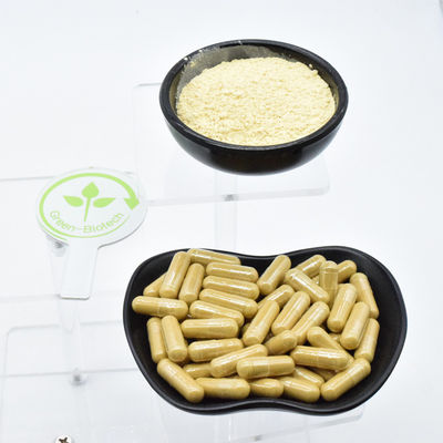 प्राकृतिक जंगली पौधे सूखे सफेद जेंसनग जड़ निकालें यूरोपीय संघ गुणवत्ता मानक जेंसनग जड़