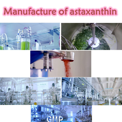 कैस 7542-45-2 1% - स्वस्थ देखभाल के लिए 10% एस्टेक्सैंथिन पाउडर