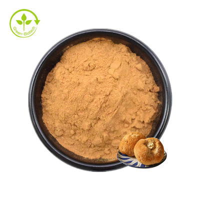 Lions Mane Mycelium Extract Hericium Erinaceus मशरूम पाउडर 30%