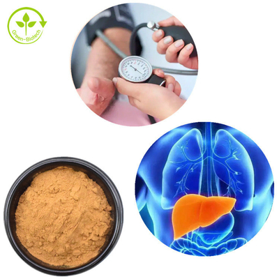 Lions Mane Mycelium Extract Hericium Erinaceus मशरूम पाउडर 30%