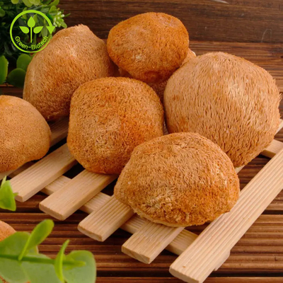 Lions Mane Mycelium Extract Hericium Erinaceus मशरूम पाउडर 30%