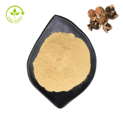 प्राकृतिक कमीलया साइनेंसिस बीज भोजन के लिए 98% चाय सैपोनिन निकालें