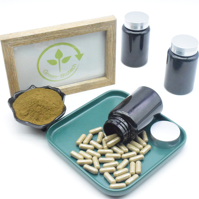 शुद्ध अजुगा तुर्केस्तानिका एक्सट्रैक्ट सप्लीमेंट 10% 40% 500mg तुर्केस्टेरोन कैप्सूल