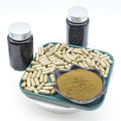 Ajuga Turkestanica Extract Turkesterone कैप्सूल फॉर बॉडीबिल्डिंग