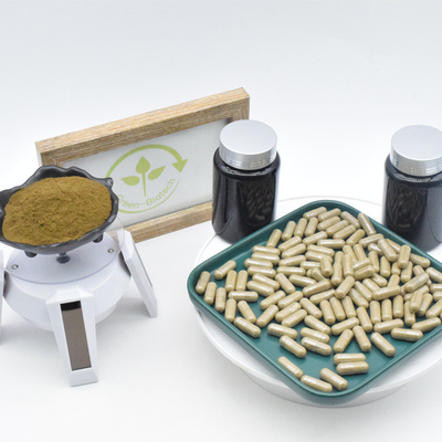 Ajuga Turkestanica Extract Turkesterone कैप्सूल फॉर बॉडीबिल्डिंग