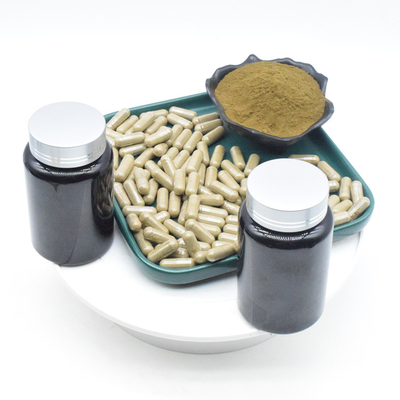OEM Ajuga Turkestanica Extract पाउडर 2% 10% 500mg तुर्केस्टेरोन कैप्सूल