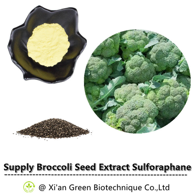 ब्रोकोली बीज निकालने Sulforaphane Glucosinolate CAS 21414-41-5 13% ग्लूकोराफेनिन पाउडर