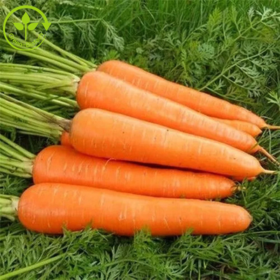 खाद्य योज्य रंग किण्वन बीटा कैरोटीन पाउडर 10%