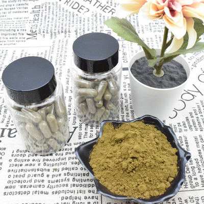 अजुगा तुर्केस्टेनिका अर्क पाउडर 2% 10% तुर्केस्टेरोन अर्क