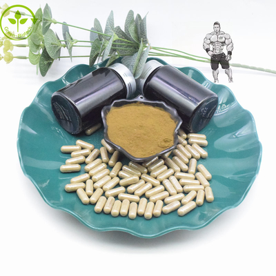 शुद्ध 10% 40% तुर्केस्टेरोन अर्क पाउडर 800 मिलीग्राम 1000 मिलीग्राम तुर्केस्टेरोन कैप्सूल