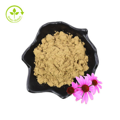 थोक प्राकृतिक इचिनेशिया अर्क पाउडर इचिनेशिया पुरपुरिया अर्क