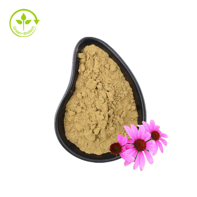 जैविक Echinacea Purpurea निकालना Echinacea रूट निकालना