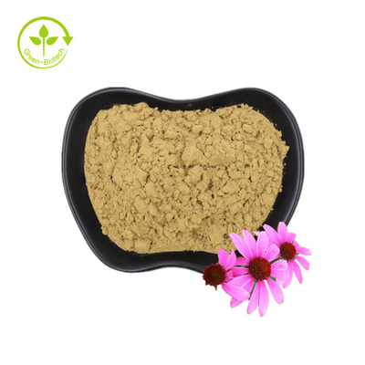 जैविक Echinacea Purpurea निकालना Echinacea रूट निकालना