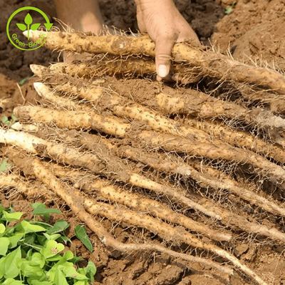 खाद्य/कॉस्मेटिक ग्रेड प्राकृतिक रतालू सत्त्व 98% डायोसजेनिन जंगली रतालू सत्व पाउडर