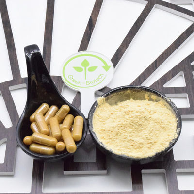 सूखी लाल ginseng जड़ छोटे स्लाइस पूरे लाल ginseng जड़ 8 साल